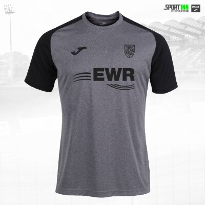 Trikot-Shirt Grundlagenbereich • Academy IV • Wormatia • Grau/Schwarz • Kurzarm