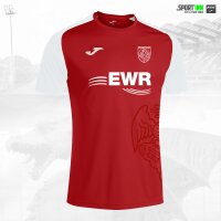 Trikot-Shirt Aufbau-/Leistungsbereich • Academy IV...