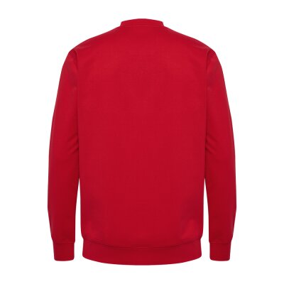Sweatshirt • Hummel • hmlgo cotton sweatshirt 2.0 • Rot