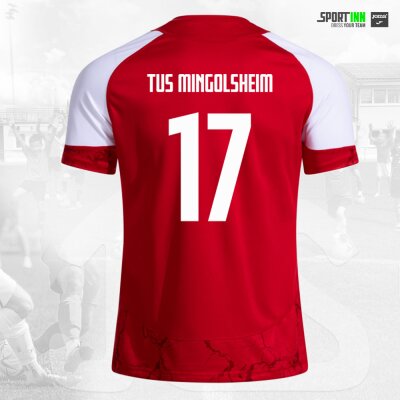 Shirt • Hispa V • TuS Mingolsheim • Rot/Weiß • Kurzarm
